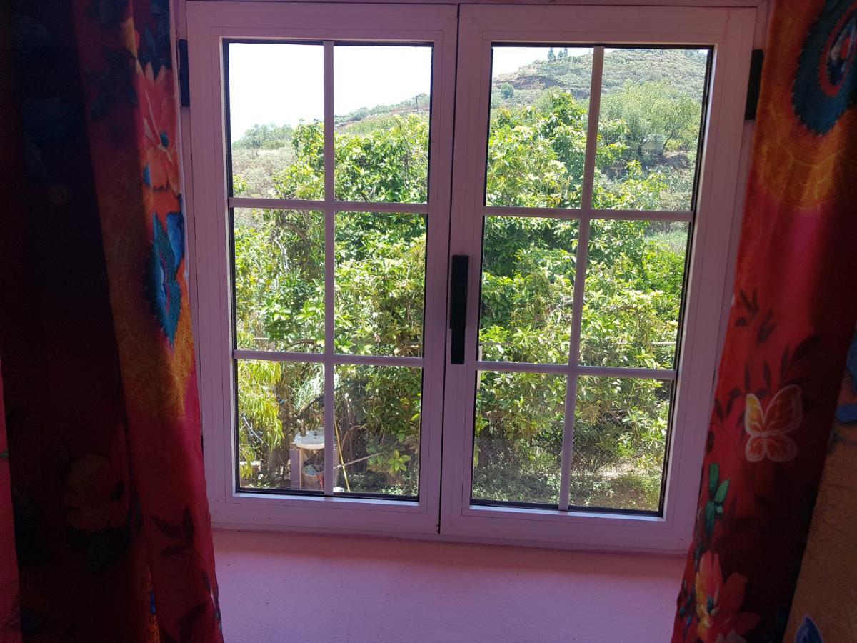 Finca Rural Torres Casas 1 Y 4 Bed & Breakfast 维加-德圣马特奥 外观 照片