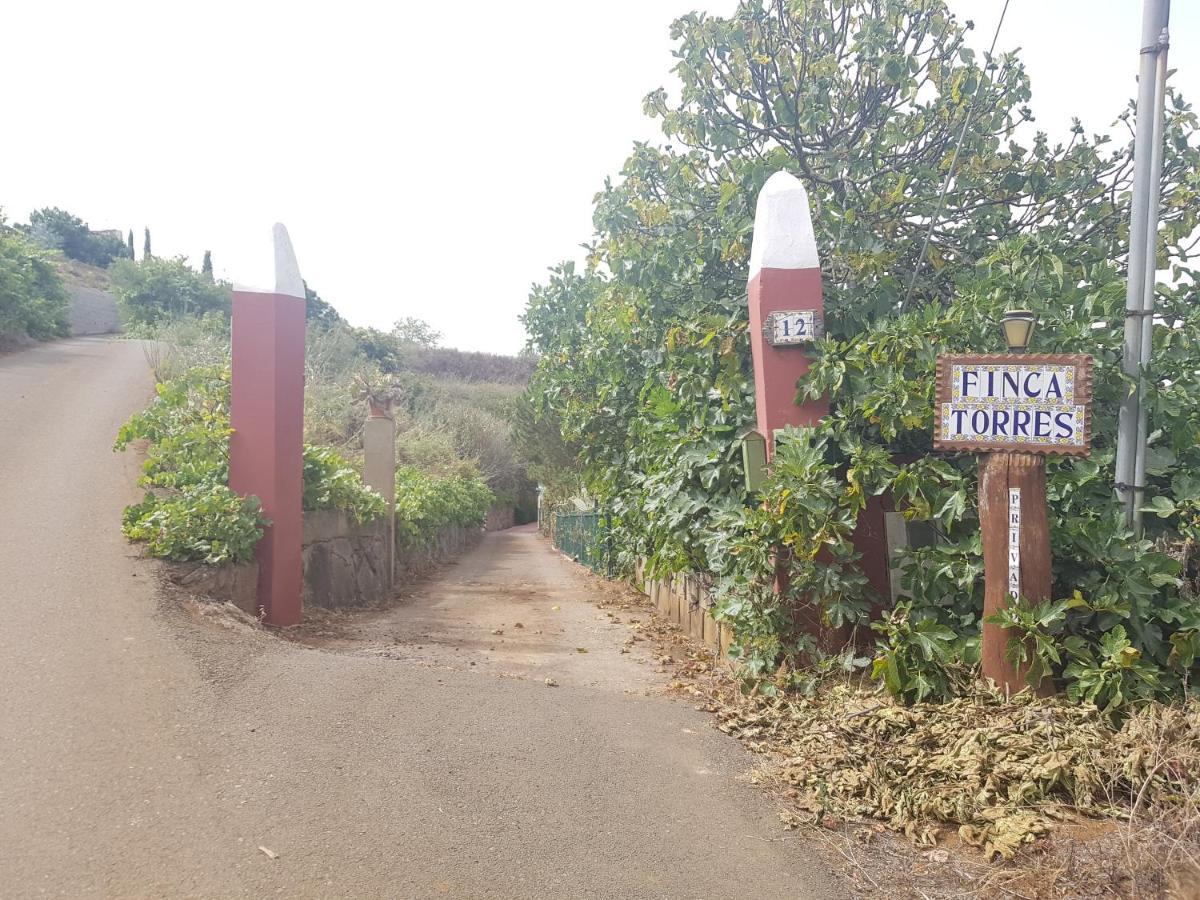 Finca Rural Torres Casas 1 Y 4 Bed & Breakfast 维加-德圣马特奥 外观 照片