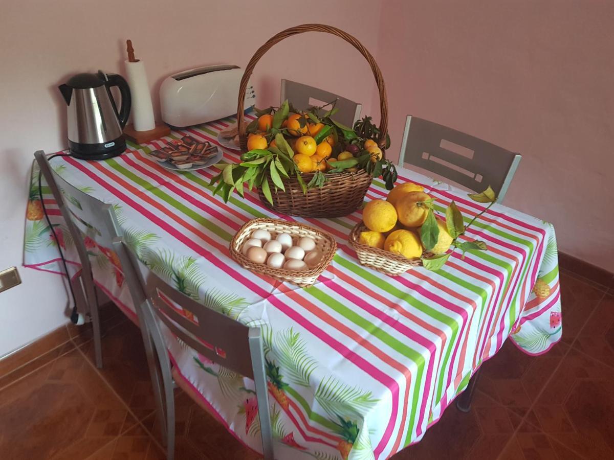 Finca Rural Torres Casas 1 Y 4 Bed & Breakfast 维加-德圣马特奥 外观 照片