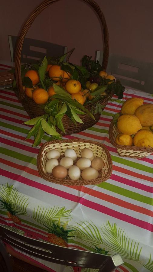 Finca Rural Torres Casas 1 Y 4 Bed & Breakfast 维加-德圣马特奥 外观 照片