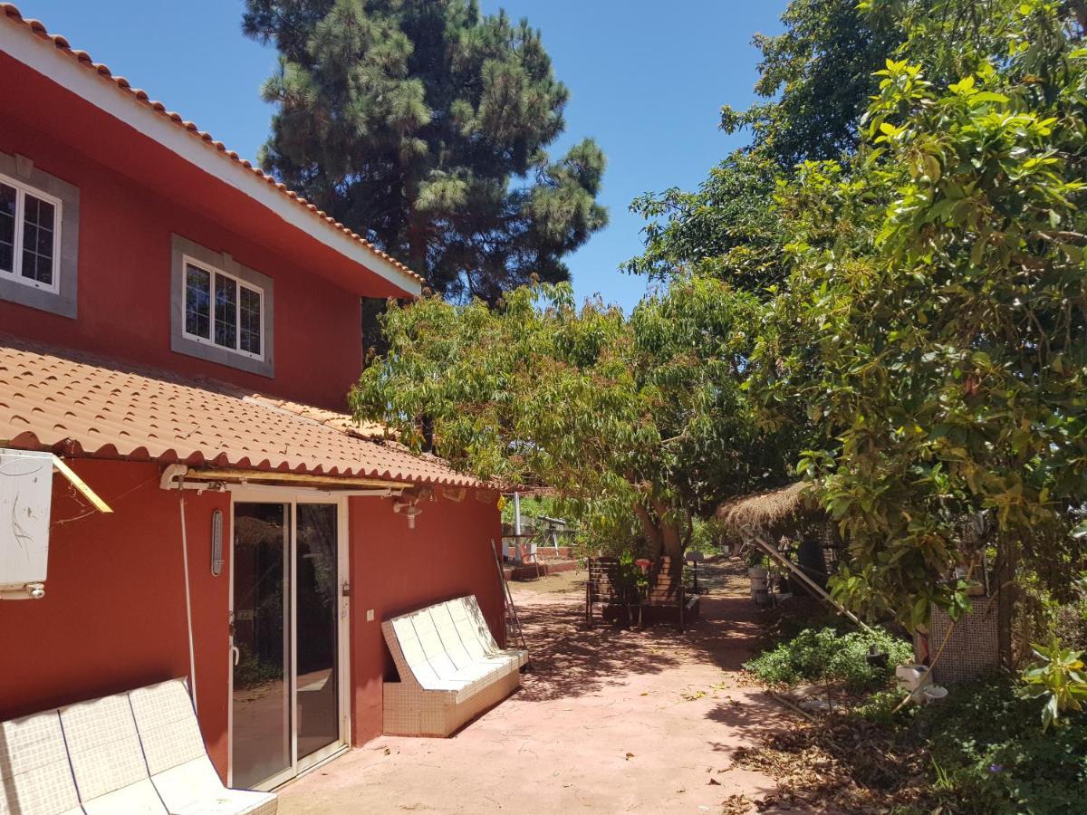 Finca Rural Torres Casas 1 Y 4 Bed & Breakfast 维加-德圣马特奥 外观 照片