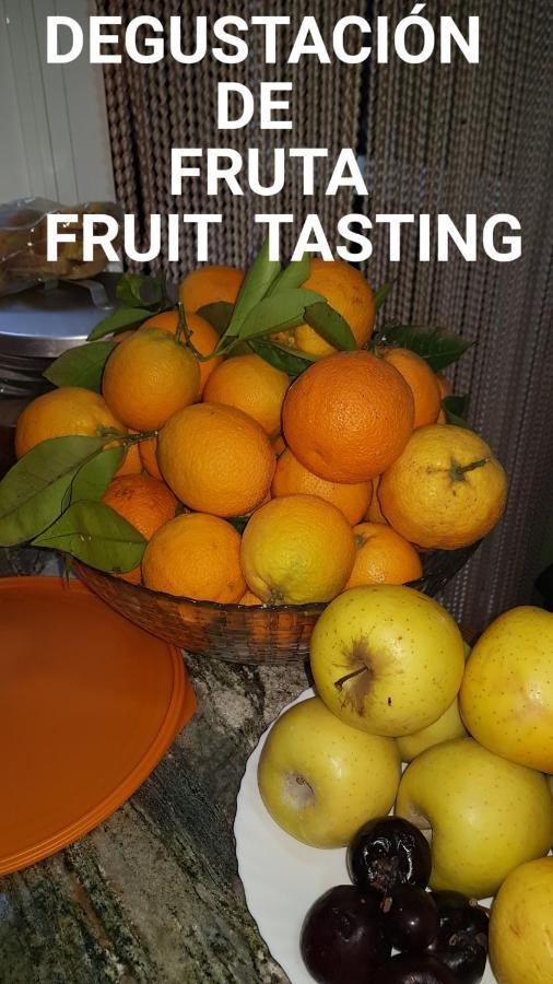 Finca Rural Torres Casas 1 Y 4 Bed & Breakfast 维加-德圣马特奥 外观 照片