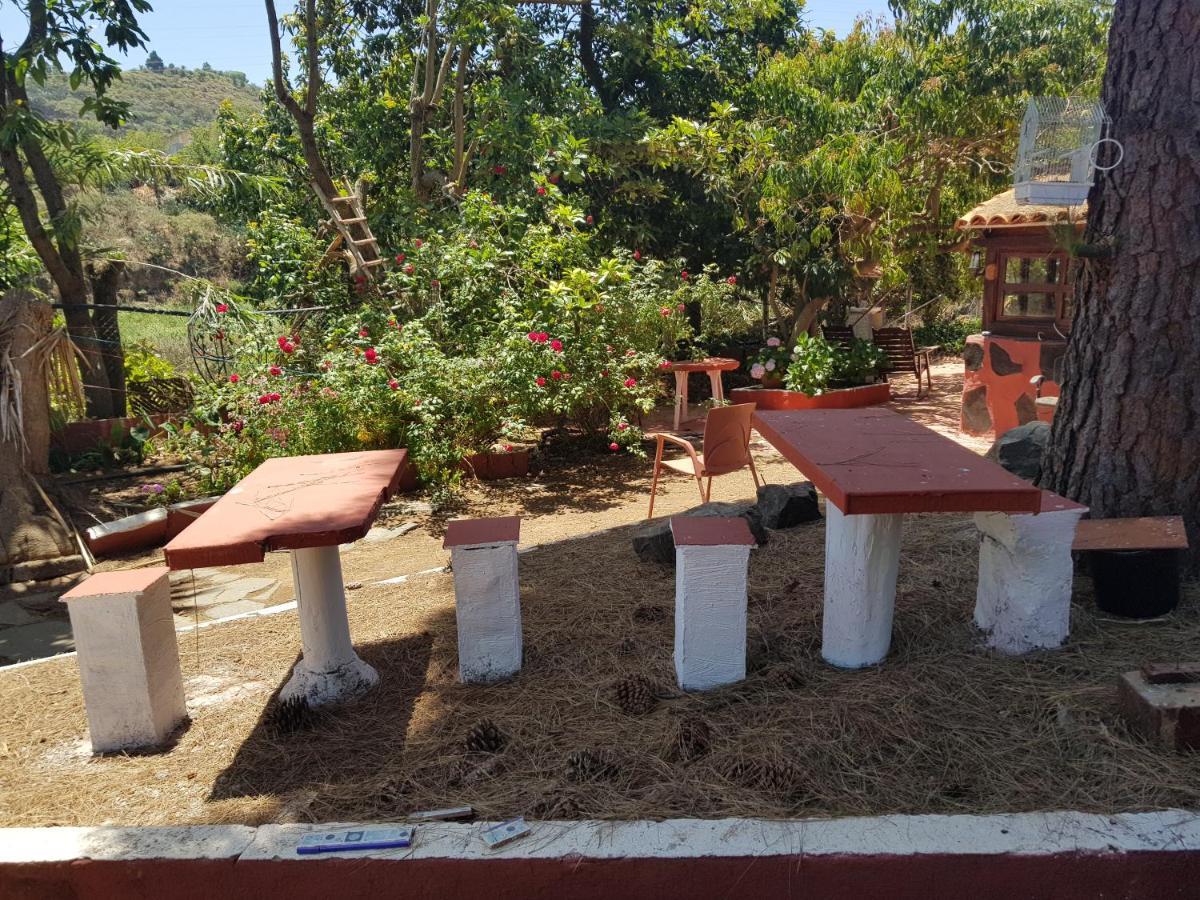 Finca Rural Torres Casas 1 Y 4 Bed & Breakfast 维加-德圣马特奥 外观 照片