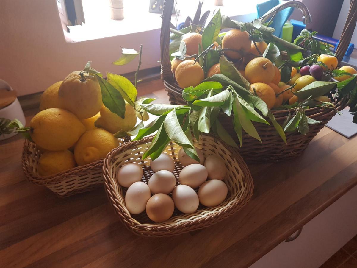 Finca Rural Torres Casas 1 Y 4 Bed & Breakfast 维加-德圣马特奥 外观 照片