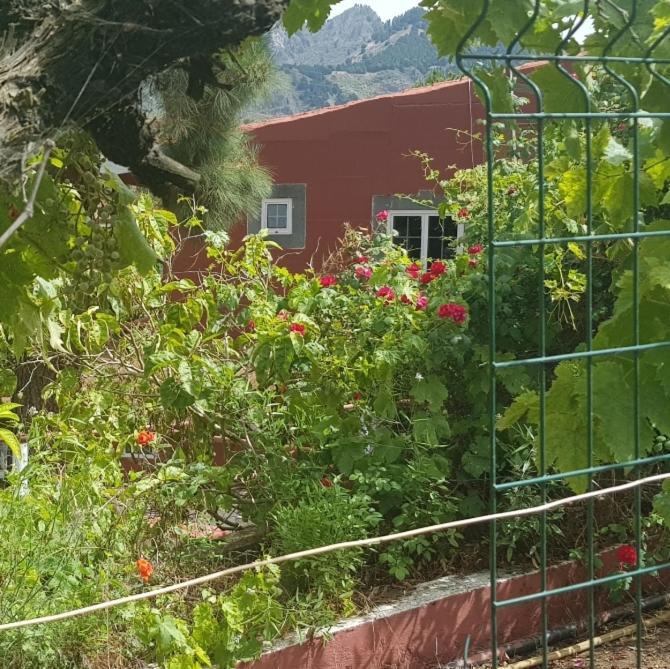 Finca Rural Torres Casas 1 Y 4 Bed & Breakfast 维加-德圣马特奥 外观 照片
