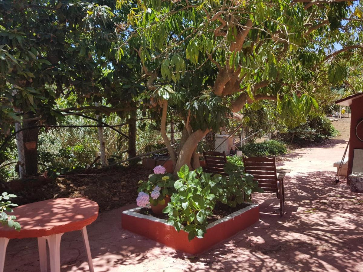Finca Rural Torres Casas 1 Y 4 Bed & Breakfast 维加-德圣马特奥 客房 照片